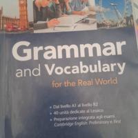 grammar and vocabulary