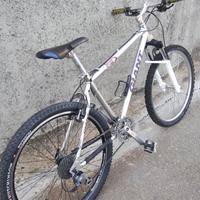 Mtb Giant terrago