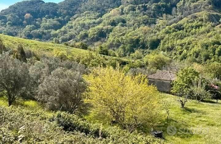 terreno agricolo - Vista 3