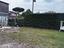 Immagine 25