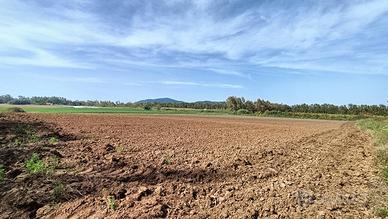 Terreno edificabile - Alghero