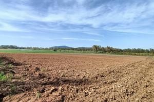 Terreno edificabile - Alghero