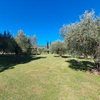 Casale in campagna con terreno Castiglione