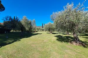 Casale in campagna con terreno Castiglione