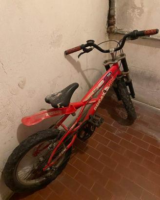 Bicicletta