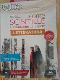 cone scintille letteratura 