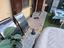 Immagine 2
