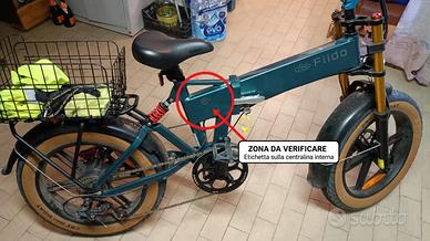 Fiido m1 pro e bike pedalata assistita