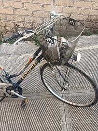 Bicicletta per adulti liberati 