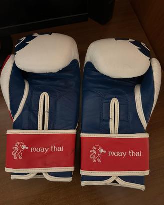 Guanti e caschetto boxe