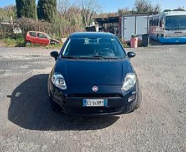 Fiat Punto Fiat Punto 1.4 8V 5 porte Natural Power