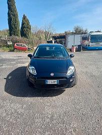 Fiat Punto Fiat Punto 1.4 8V 5 porte Natural Power