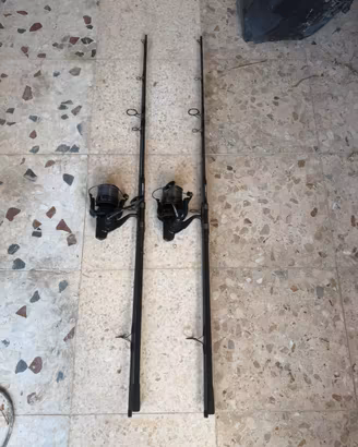 canne carpfishing fox