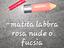 Immagine 6