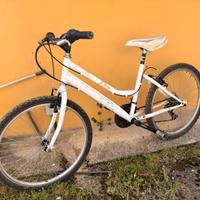 MTB donna 24