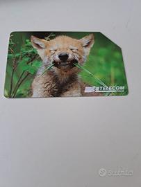 Scheda Telefonica Animali