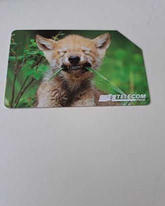 Scheda Telefonica Animali