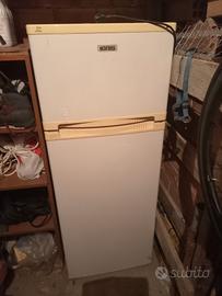 frigo ingnis 