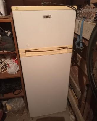 frigo ingnis 