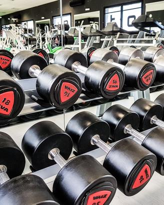 Set completo manubri Ziva, 1240kg con rastrelliere