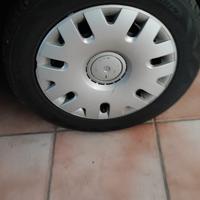 gomme estive 