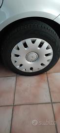 gomme estive 