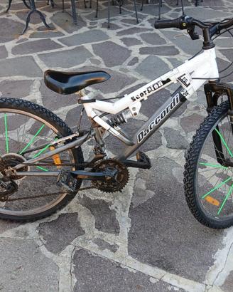 bici daccordi