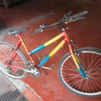 Bicicletta  DONNA 26