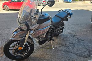 Triumph tiger 800XRT full optional