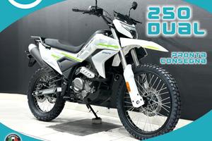 Cf Moto Altro CFMOTO 250 DUAL ENDURO