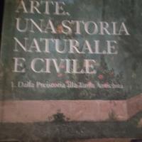 Arte una storia naturale e civile 1