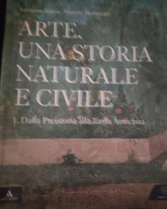 Arte una storia naturale e civile 1