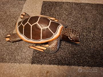 tartaruga in legno