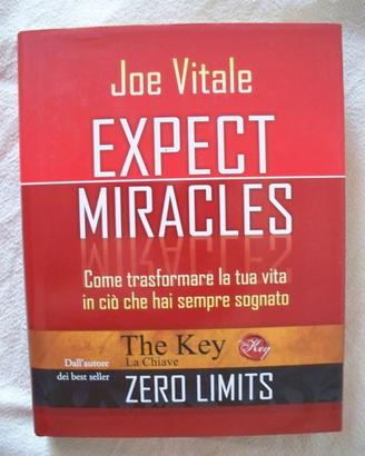 JOE VITALE   -   EXPECT MIRACLES