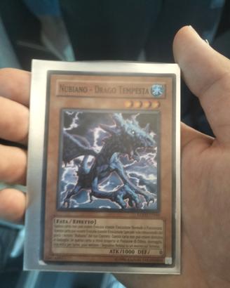 drago tempesta