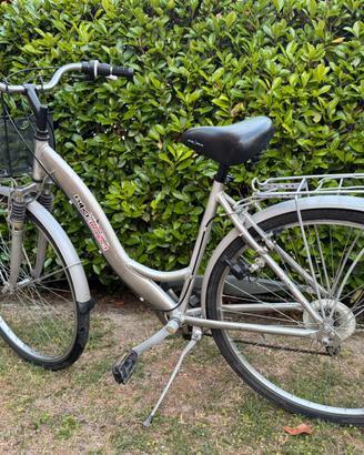 Bicicletta da donna