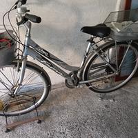 Bici donna 
