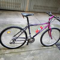 GIANT nuova 26 con 21 marce