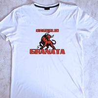 Maglia tifoseria granata – t-shirt per tifosi toro