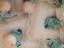 Immagine 4