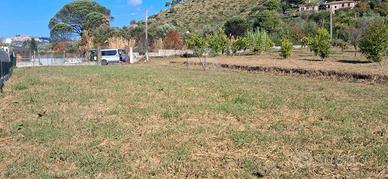 Terreno agricolo 2.000 mq recintato - Castellabate