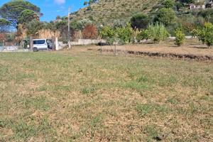 Terreno agricolo 2.000 mq recintato - Castellabate
