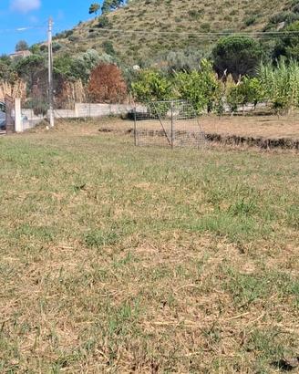 Terreno agricolo 2.000 mq recintato - Castellabate