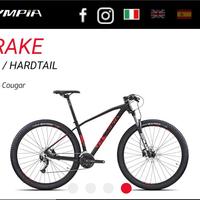 MTB Olimpia Drake, Ruote 29, taglia L