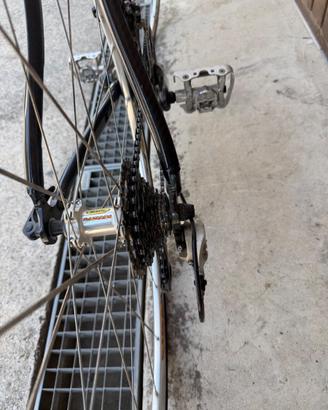 Bici in carbonio