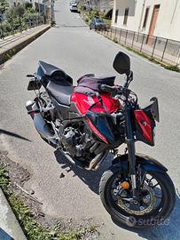 Hornet 500 2024