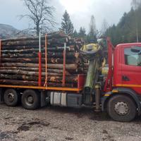 Autocarro trasp legname Scania 124G gru forestale