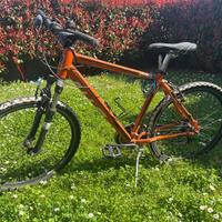 Bicicletta Daytona bimbo fino 11/12 anni