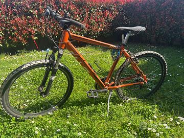 Bicicletta Daytona bimbo fino 11/12 anni