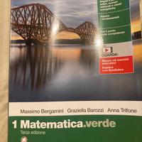 Libro 1’superiore matematica verde